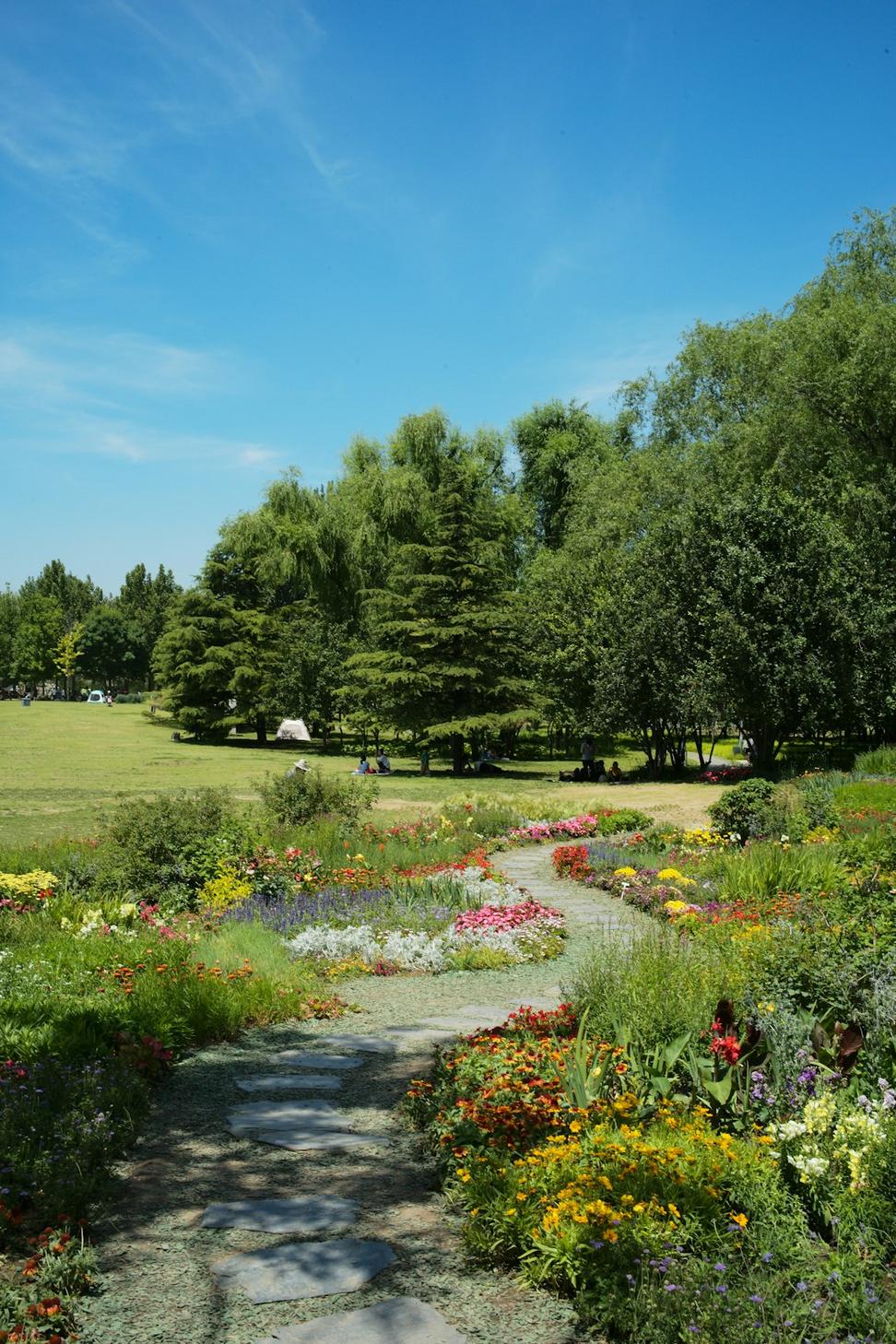 Sculptural Garden Design